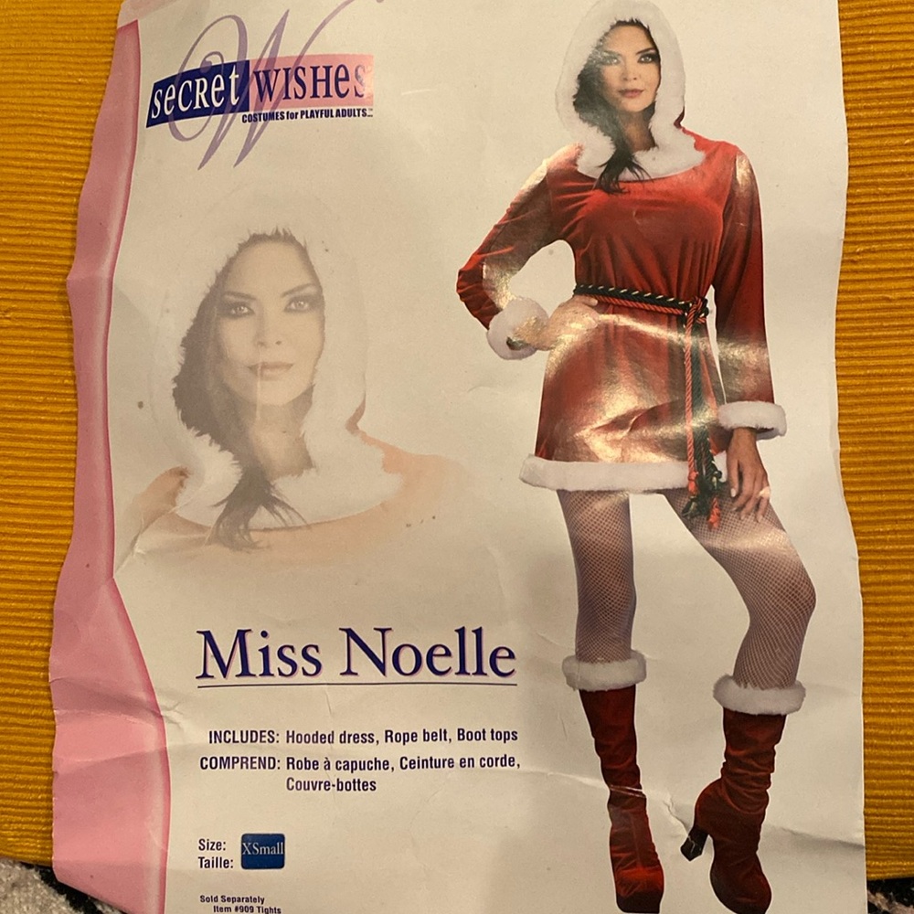 Miss Santa Claus costume